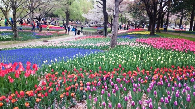 東村山市：街並み