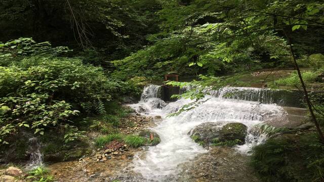檜原村：街並み