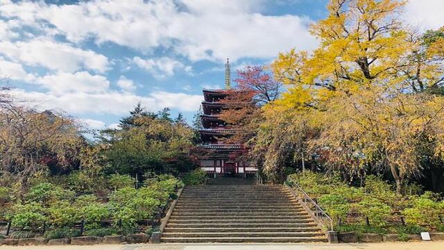 松戸市：街並み