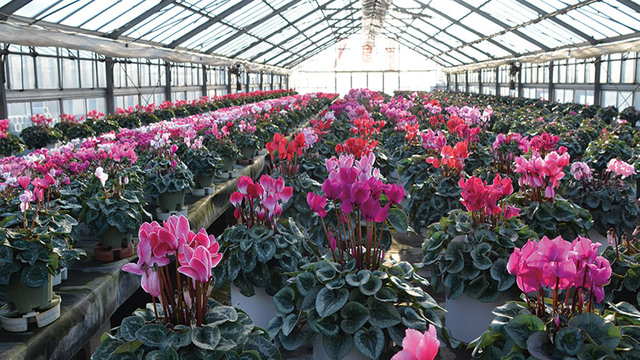 瑞穂町：街並み