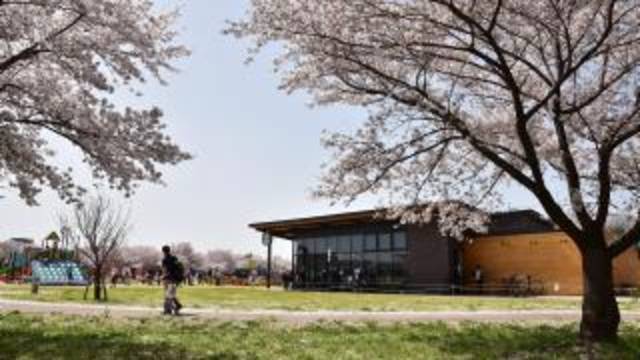 狭山市：入間川にこにこコテラス